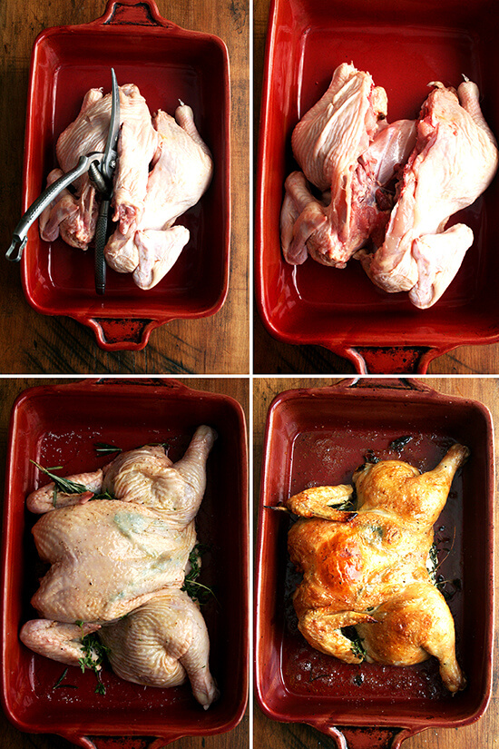 A montage of images depicting how to roast a spatchcocked chicken.