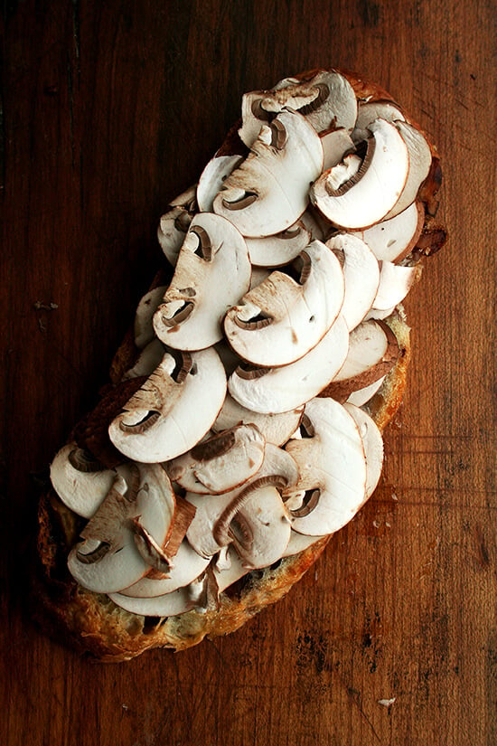 mushroom tartine, unpressed