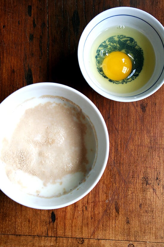 A bowl with a yeast-milk-water mixture and another bowl with an egg.
