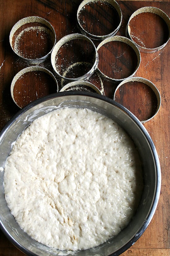 English muffin dough, rising