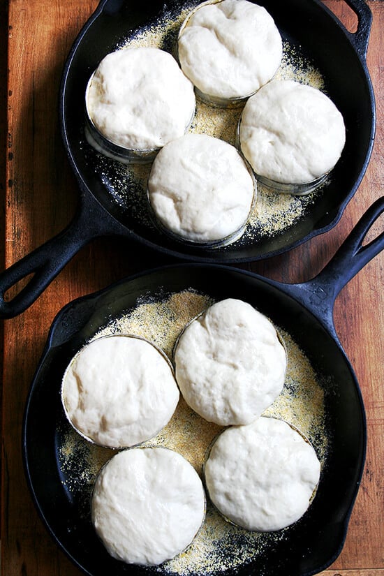 dough rising in cast iron skillets