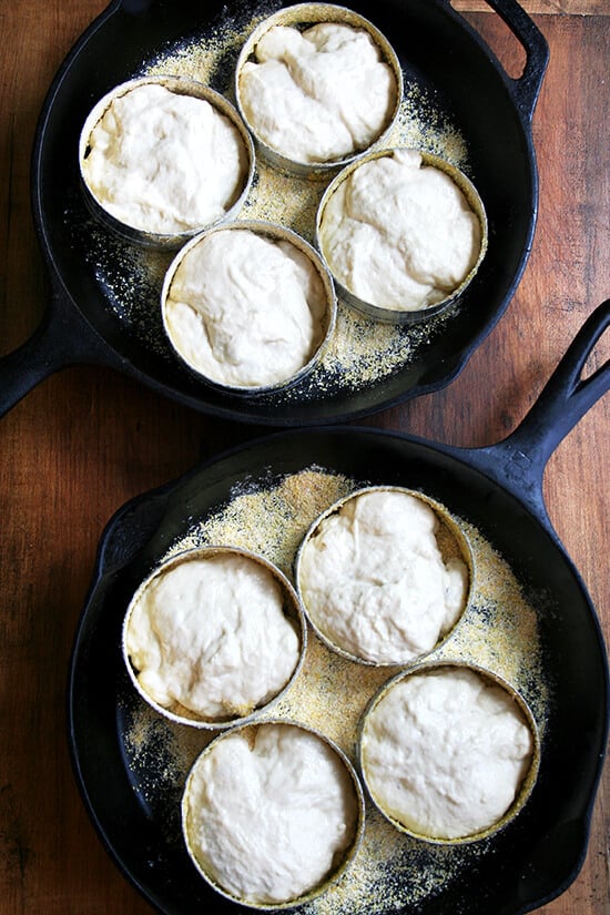 dough in rings