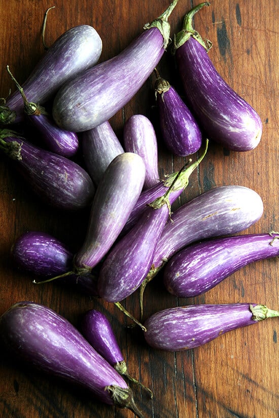 eggplant