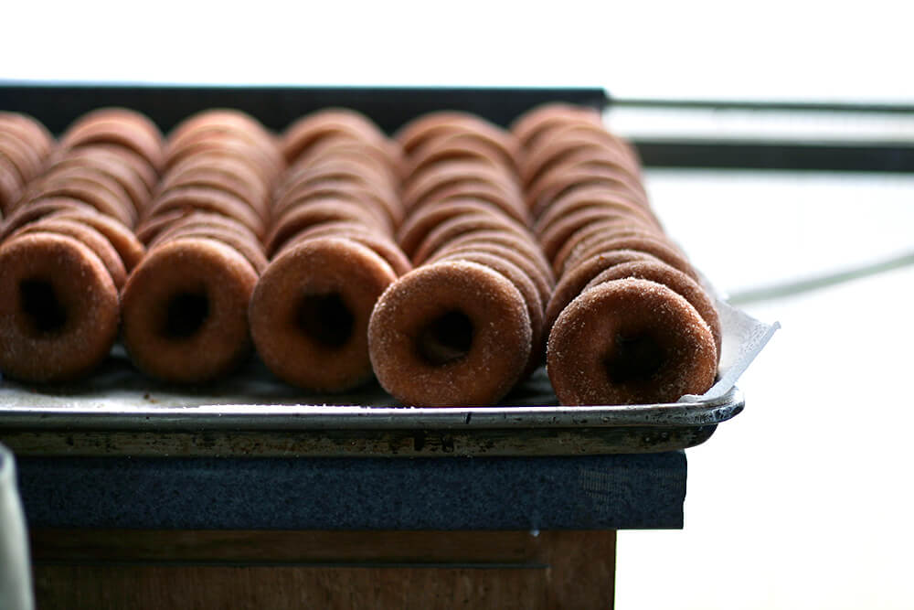 apple-cider donuts