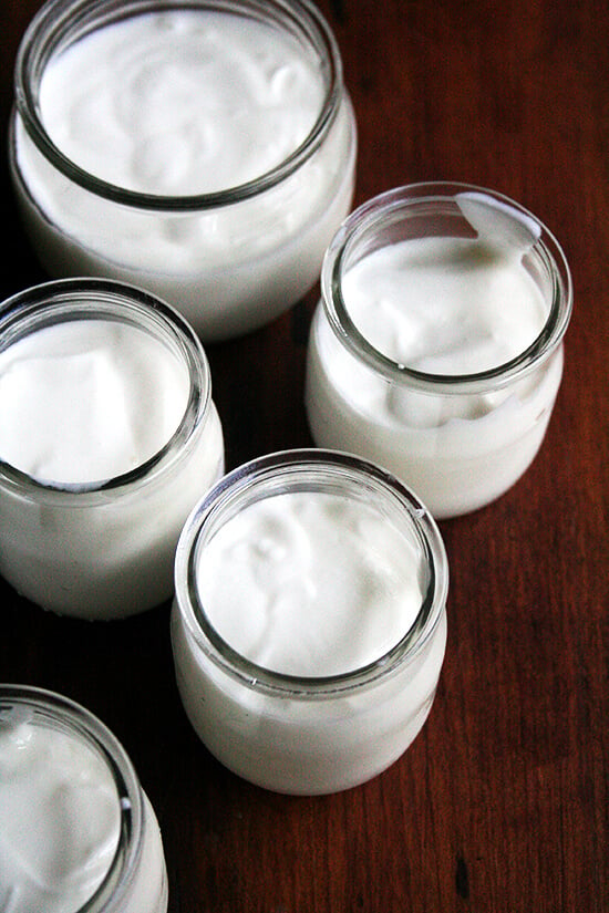 homemade yogurt