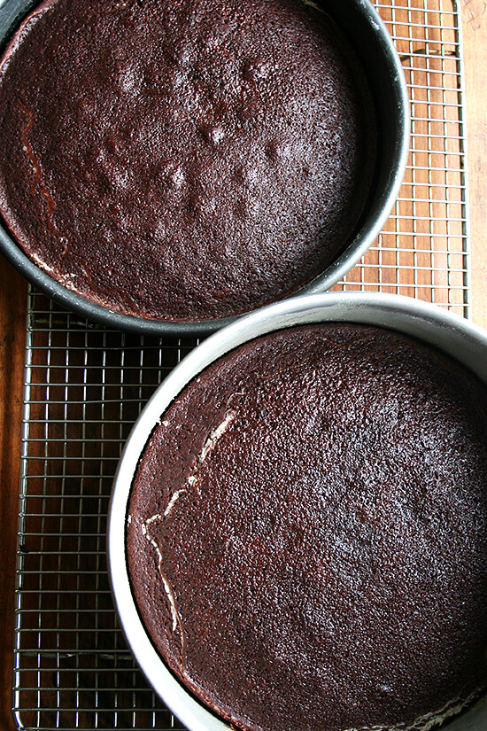 chocolate cakes cooling