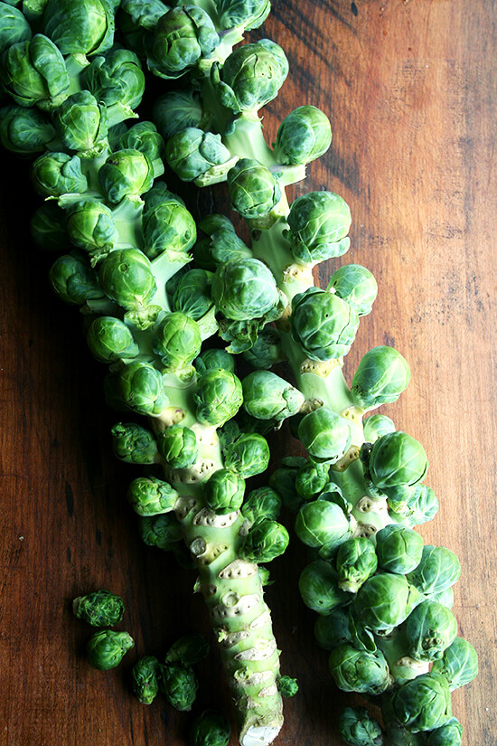 Overhead view of two brussels sprout stalks resting on a wooden surface
