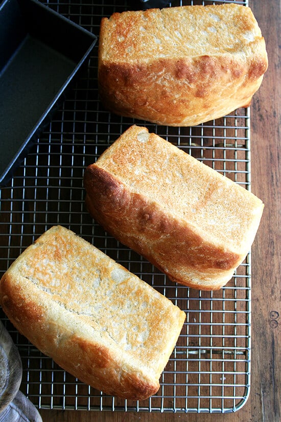 mini loaves of peasant bread on a cooling rack