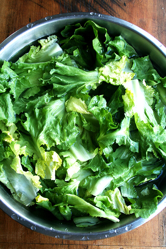 A large bowl filled with escarole soaking in water.