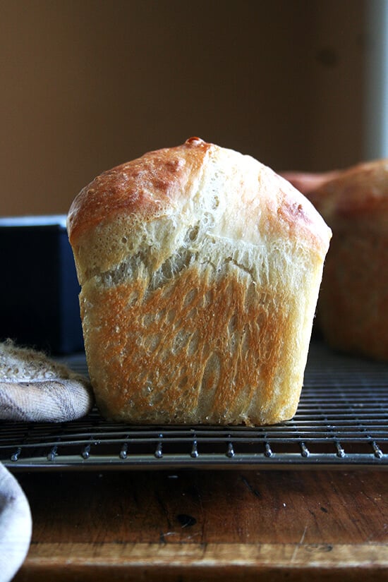 mini loaf of peasant bread