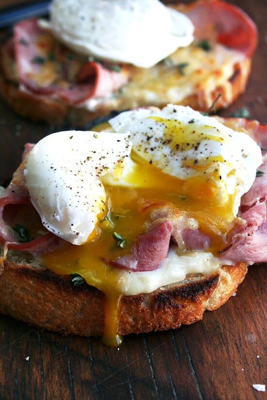 Side view of croque madame: Toast slicked with béchamel, topped with ham, Gruyère, and a perfect poached egg with the yolk oozing out. 