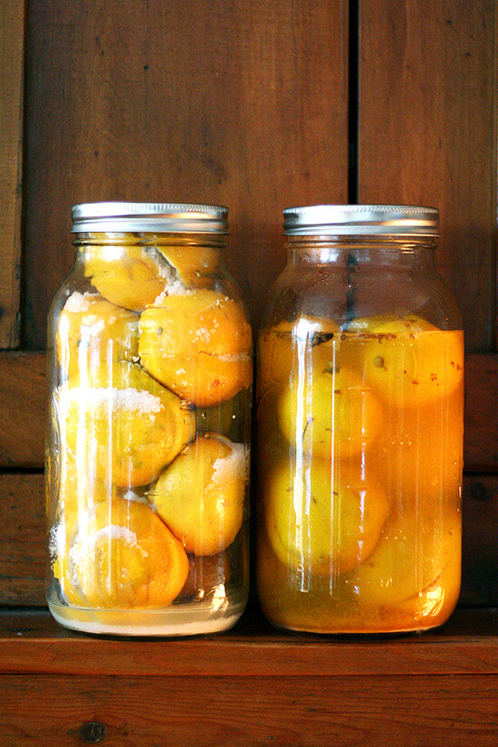 Two jars of preserved lemons standing on a shelf.