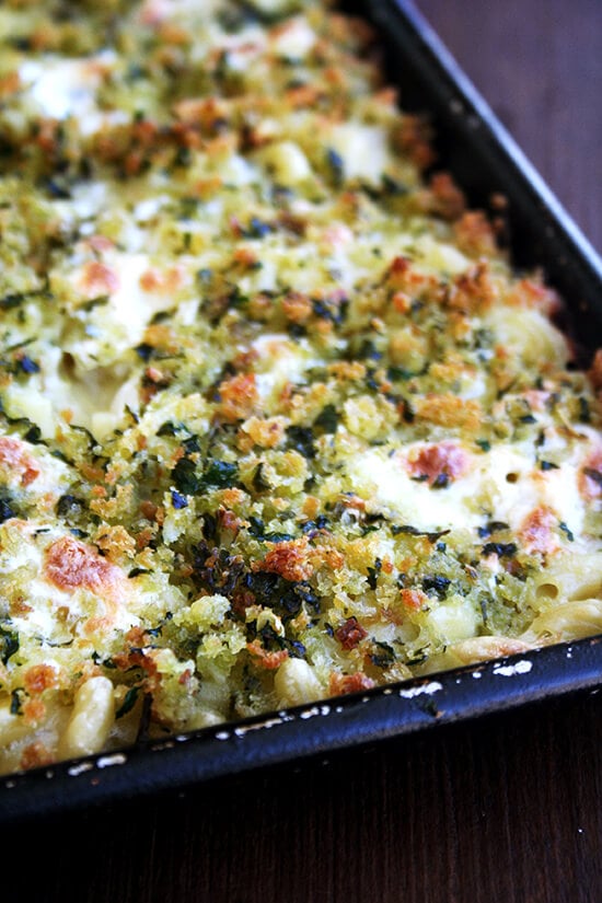 In this mac n' cheese, blistered cubes of mozzarella peek through a golden, herb-speckled topping, stretching with every pull of the fork, clinging relentlessly to the layer of crispy crumbs. It tastes — not that this was the goal — surprisingly light and looks surprisingly elegant or as elegant as macaroni and cheese can. // alexandracooks.com