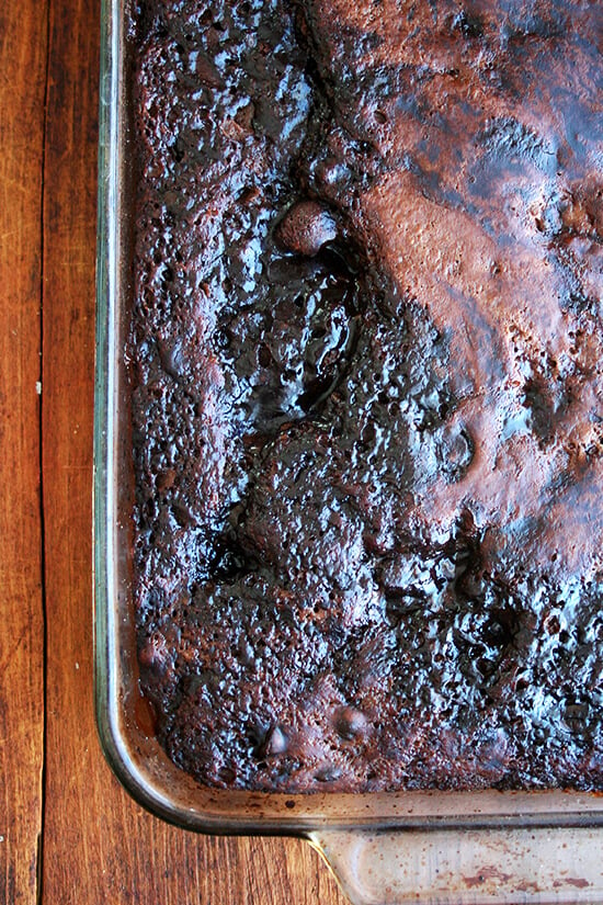 just-baked chocolate eclipse cake