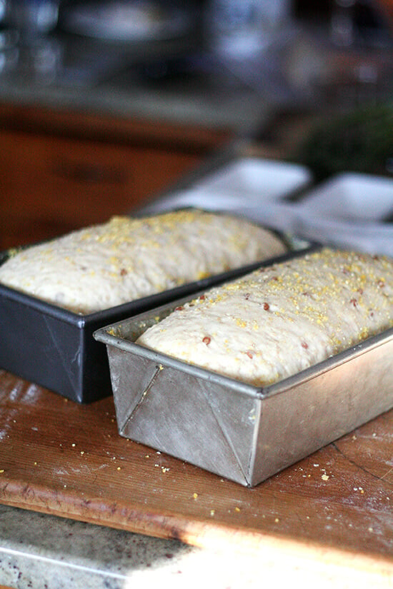 wheat berry bread rising