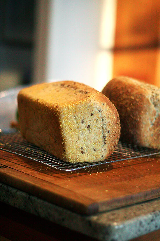 marcy's bread