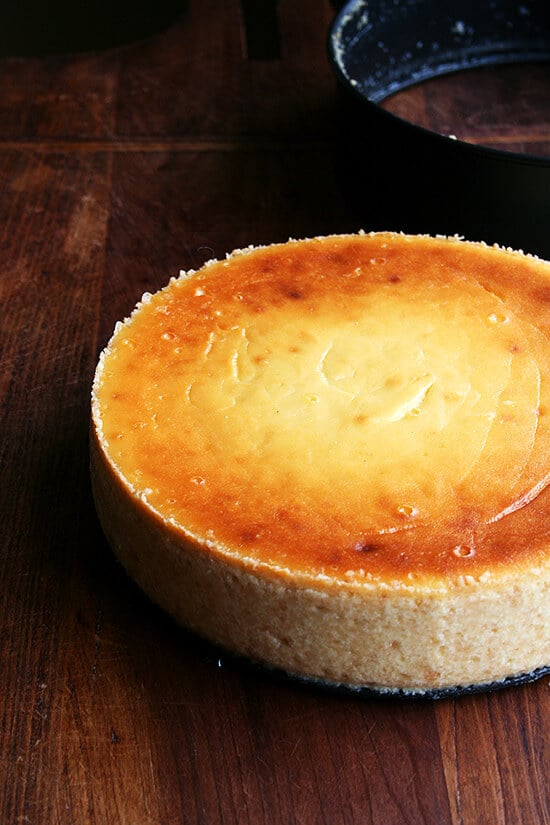Just-baked lemon-ricotta cheesecake with the spring form pan outer rim released. 