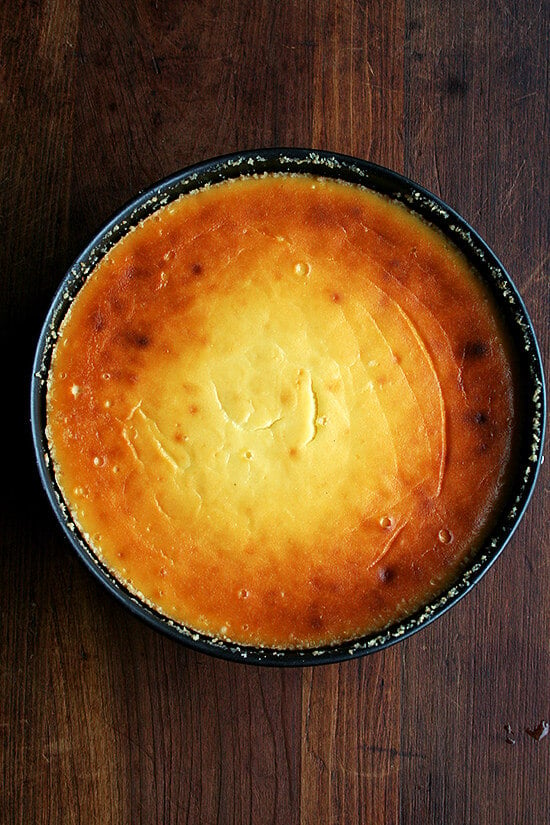 Just-baked lemon-ricotta cheesecake. 