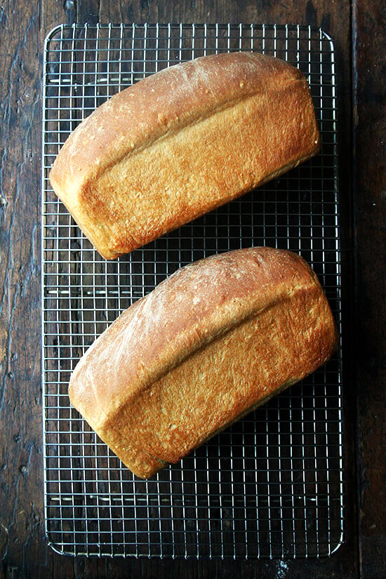 freshly baked loaves