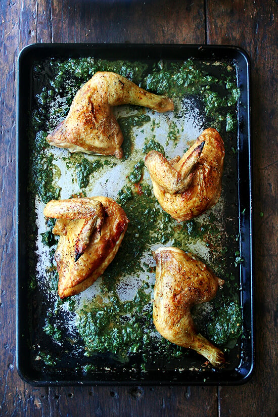 roasted chicken & herb sauce