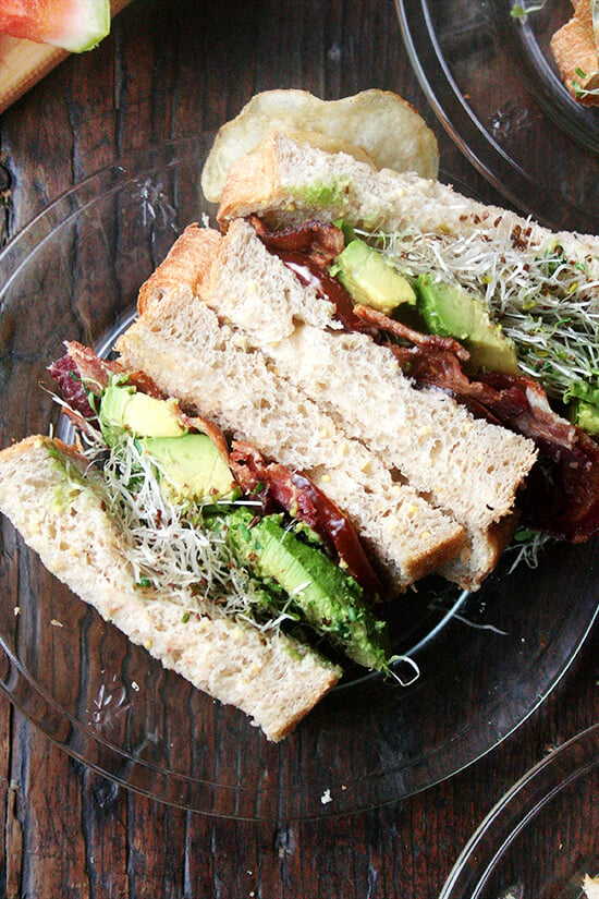 bacon avo sandwich