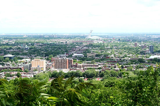 view from Mt. Royal