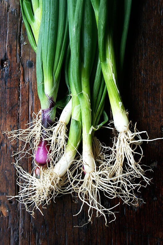 scallions