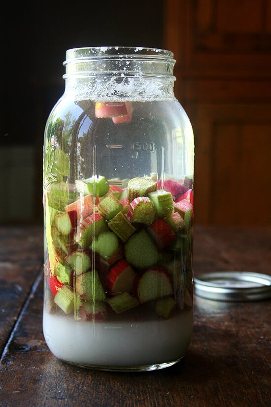 A large Mason jar filled with chopped rhubarb, sugar, and vodka.
