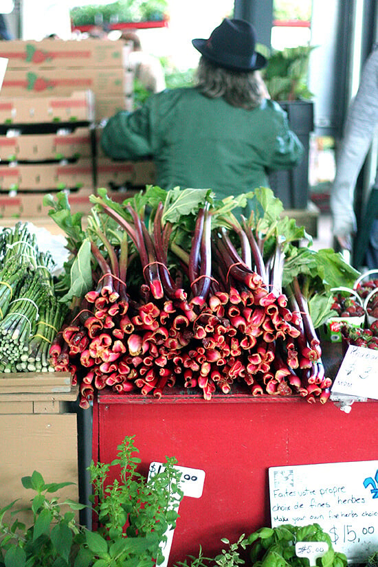 rhubarb at Jean Talon