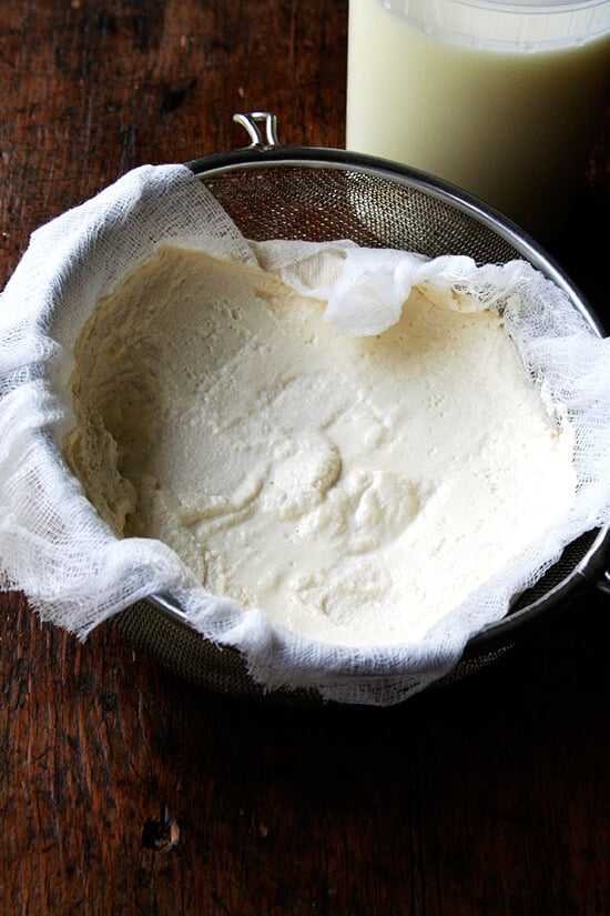 ricotta