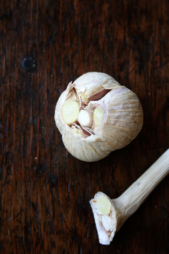 A head of garlic. 