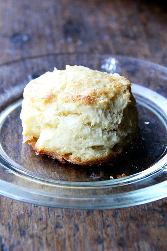 buttermilk biscuit