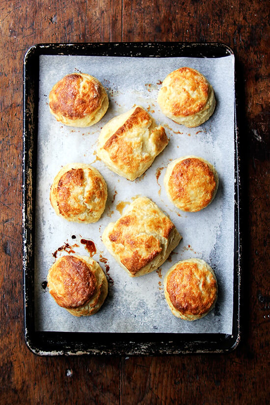 I always forget how easy butter milk biscuits are — one bowl wonders, ready in a snap! With soup and stew season upon us, this biscuit recipe, with maple and sea salt, is a good one to have on hand. // alexandracooks.com