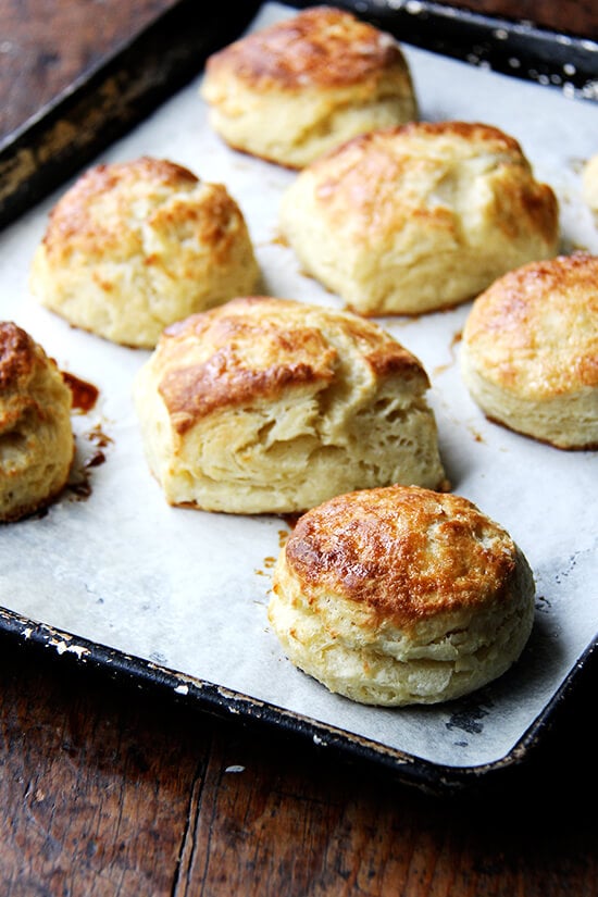 just-baked buttermilk biscuits