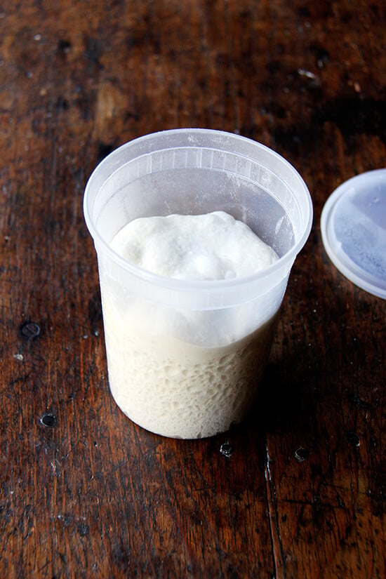 A quart container with stored Lahey pizza dough in it. 