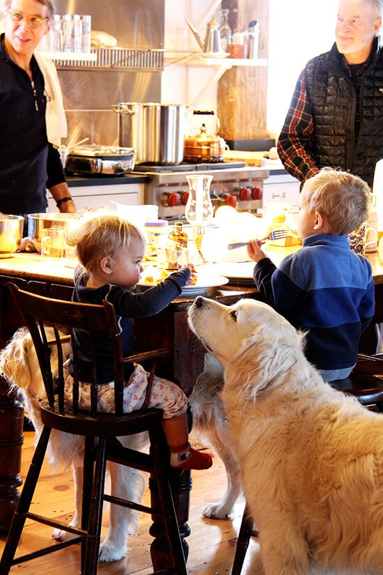 Breakfast in Vermont with golden retrievers and waffles. 