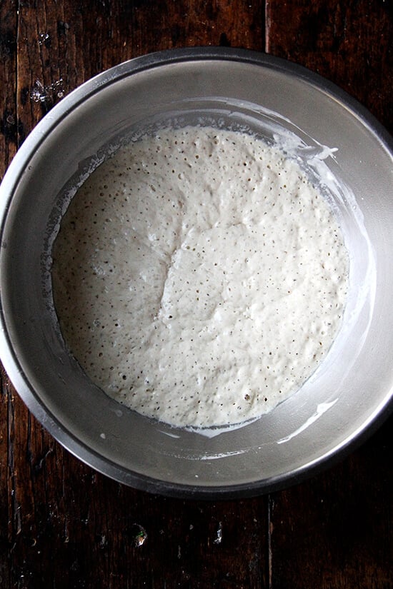 A mixing bowl with a challah bread dough sponge in it. 