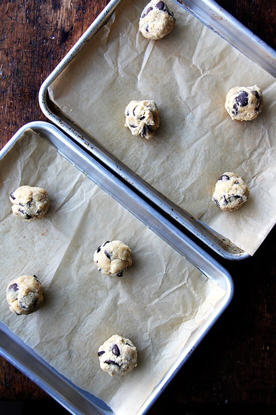 ready for the oven