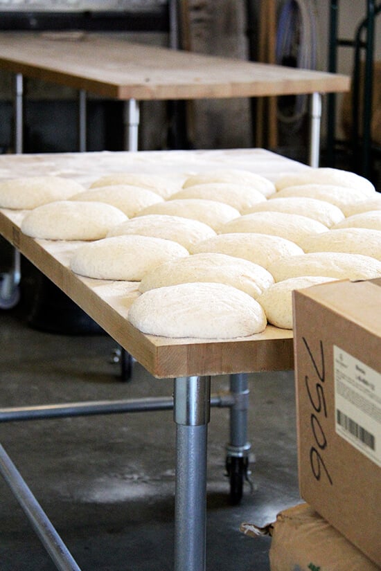 dough resting