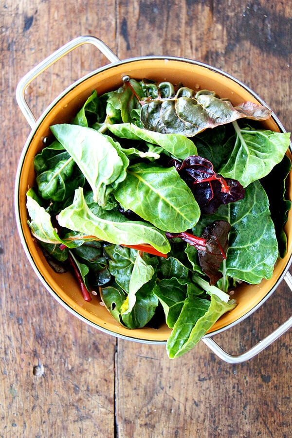 baby swiss chard in a colander