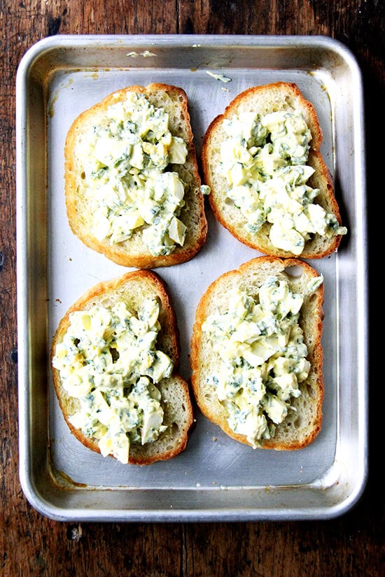 topped with egg salad