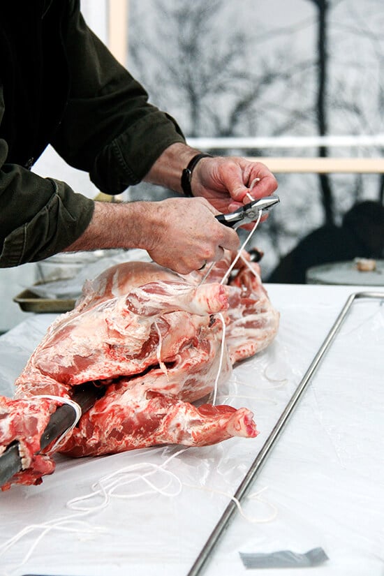 preparing the lamb