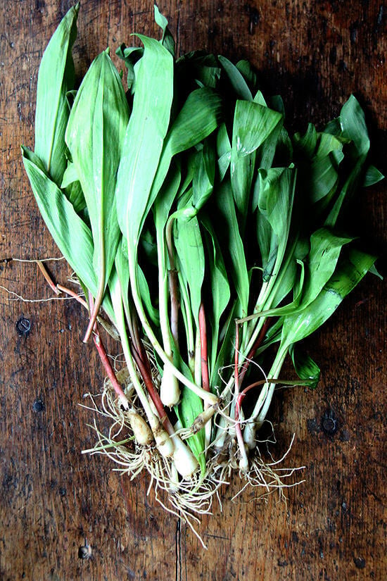 ramps