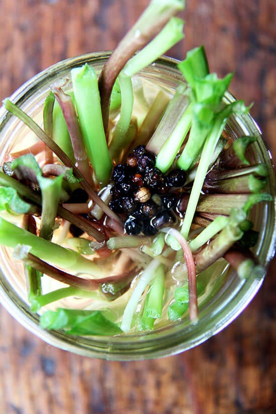 pickled ramps