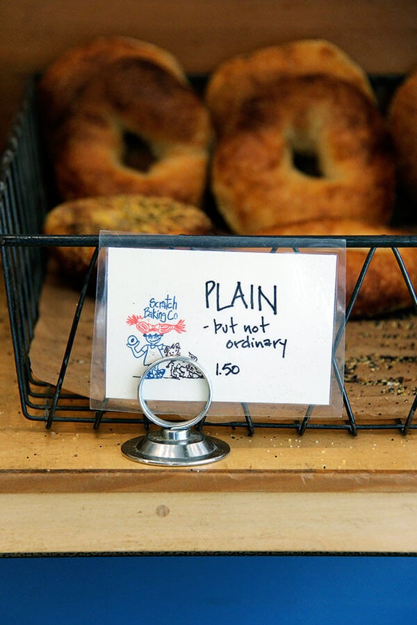 plain bagels