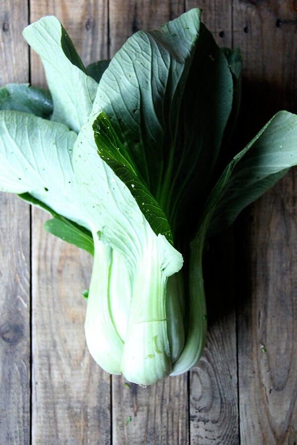 bok choy