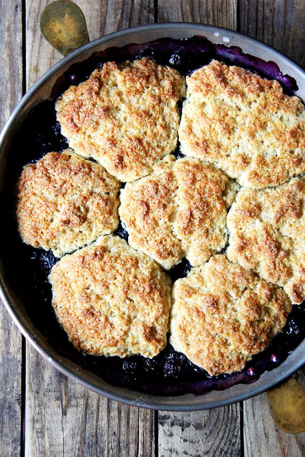 A pie plate filled with finished, just-baked blueberry cobbler. 