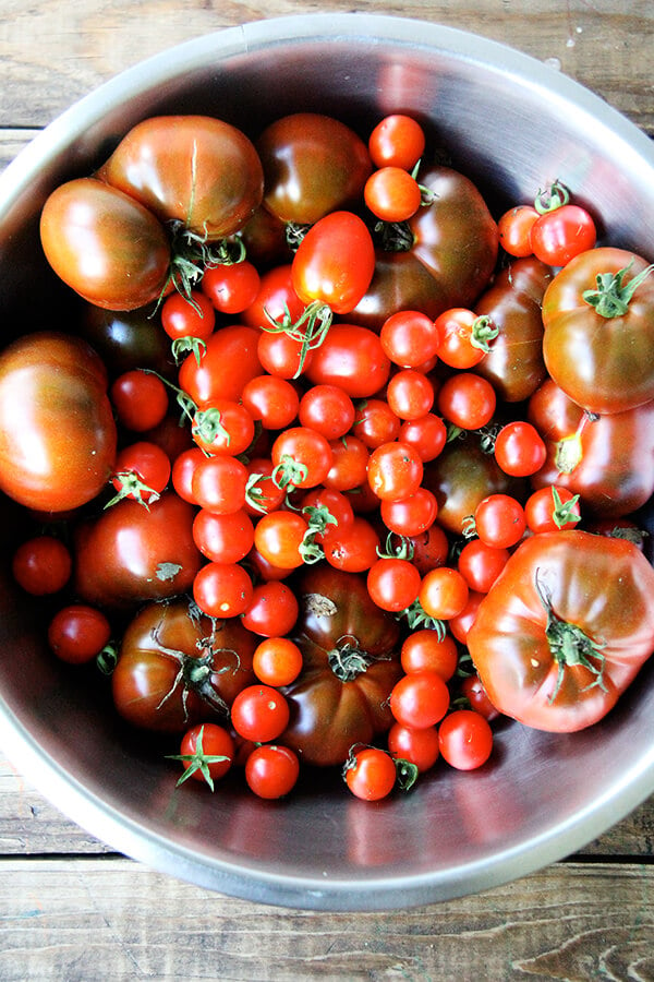 A bowl just-picked tomatoes.