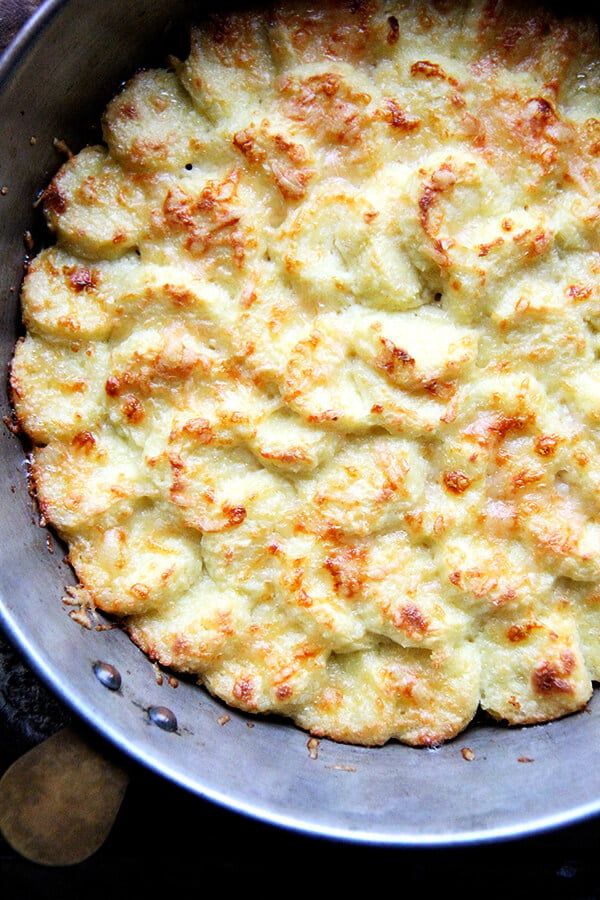 Made with milk, semolina flour, parmesan and egg yolks, this baked semolina gnocchi bears little resemblance to potato gnocchi. They taste more like polenta in fact, but are lighter in texture. In addition to being incredibly delicious, the beauty of gnocchi alla Romana is that it can be completely assembled ahead of time — up to two days — and baked just before serving. // alexandracooks.com