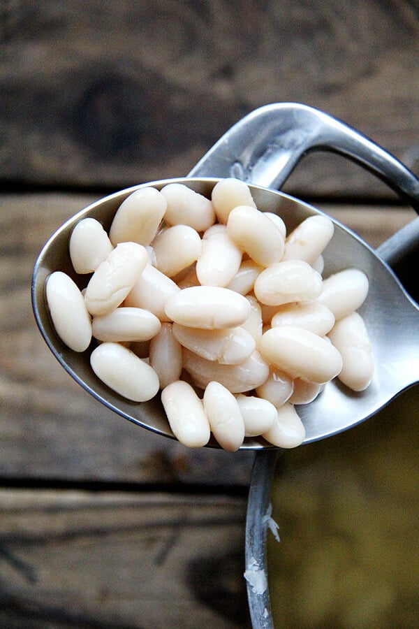 Cooked Marcella beans in a spoon.